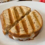 chicken panini