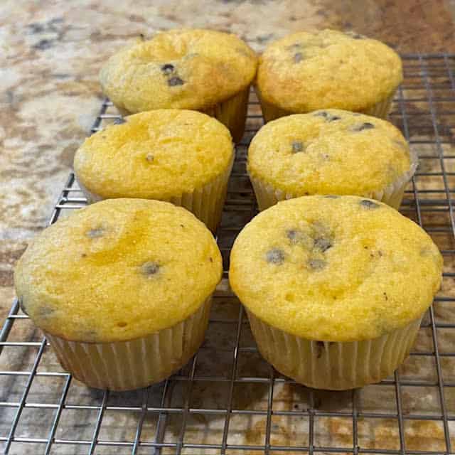 Plain cake mix cupcakes on wire cooling rack.