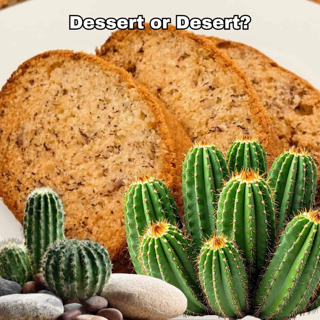 Plate of banana bread surrounded by cactus.