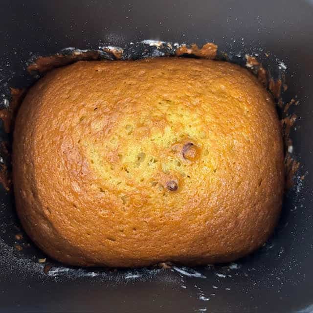 Bread machine cranberry orange bread in bread pan.